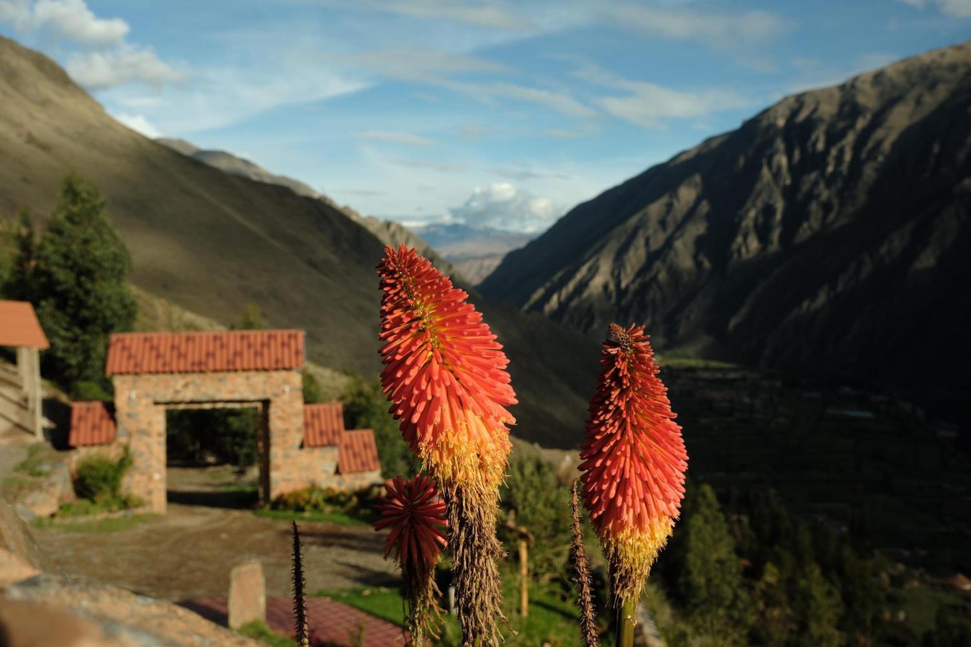 Hotel Stardome Spiritual Experience à Ollantaytambo Extérieur photo